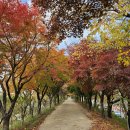 12월1일(월) 안양천(마감합니다) 이미지