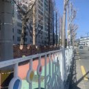 사파동344 이미지