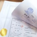 대한국제번역행정사사무소 이미지