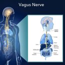 (주)헬스티지 이미지