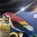 전북특별자치도교육청학생수련원 | 아기랑 익산 | 더운 날 실내 아기랑 갈만한 곳 전북특별자치도 교육청 과학교육원 후기