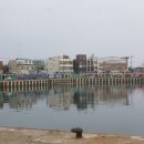 무릉도원올레 이미지