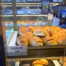 르시랑스 | [경기/파주] 파주 헤이리마을 대형카페 ‘르시랑스‘ 990원소금빵