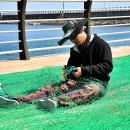 외연도2 이미지