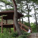 대운산자연휴양림 이미지