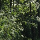 혜화역 4번 출구 이미지