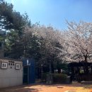 식골공원 화장실 네이버블로그