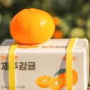 비타민C청과