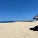 남애서핑클럽 이미지