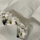 브리이에 헤어