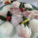 일송활어회 이미지