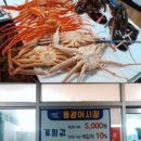 씨슈어 | 포항스파펜션/포항북구펜션추천;-) 포항스파펜션에서 해돋이 보이는곳 씨슈어펜선