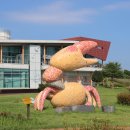 서해랑길 33코스 이미지