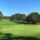 마스터스골프클럽 이미지