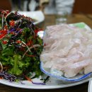 완도수산야채막회 이미지