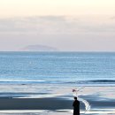 3195 | 겨울 태안 안면도 여행 아일랜드리솜, 꽃지해수욕장, 꽃게탕, 자연휴양림 후기