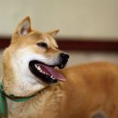 연성초등학교 이미지