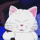 고냥이네 이미지