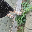 삼성사랑니졸업치과의원 네이버블로그