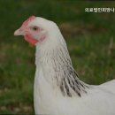 의료법인 희망나눔 의료재단 | 안양동요양원 의료법인희망나눔의료재단 전문가가 관리하는