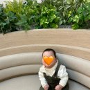 영어마을도서관 | 광교 경기도서관 아기랑! 수유실, 볼거리 후기