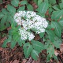 가리산농장 이미지