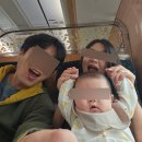 묘한 하루 | [강원도/강릉여행] 아기랑 국내여행 동해산타열차 3호차 탑승후기(예약방법/묵호역/묘한동해 외)