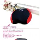 미요코리아 이미지