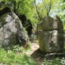 바우정원 이미지