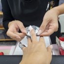 네일 아무르 이미지