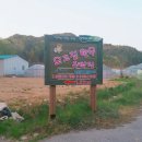 오고집 글램핑 네이버블로그