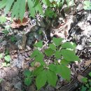 대심마을 이미지