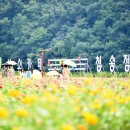 청송정원 이미지