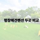 바다내음펜션 | 반려견과 평창 여행! ‘백운정원’ vs ‘바다내음’ 평창애견동반펜션 비교 후기