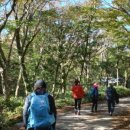 길중농장 이미지