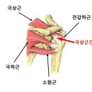 진솔한의원 이미지