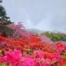 완산-15 이미지