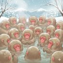 농암시장 | 겨울 문경 2박 3일-3-끝