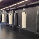 팀 해명 짐 이미지