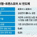 엔비디아의 625배 효율…'뇌' 닮은 토종 'AI반도체' 개발 출처 : 머니투데이 | 네이버 이미지