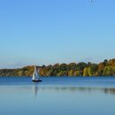 감천할아버지 이미지