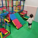 금호꼬마이치과의원 네이버블로그