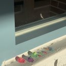 행운마켓 | 행운 가득 거북이 스푼 마켓 후기(부기들은 행운 전달 중🐢)