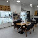 드림독 강아지분양 안심분양센터 김포점 이미지