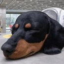 노웨어하우스 이미지