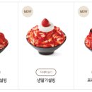 설빙 Daum카페