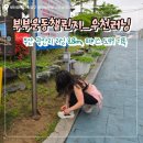 우천 공중화장실 | [부부운동챌린지] 광안리 우천 러닝 8.8km, 페이스 5분49초