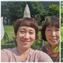 도규한의원 이미지