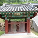 충신의사단비 이미지