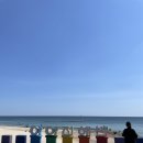 고성부부횟집 이미지